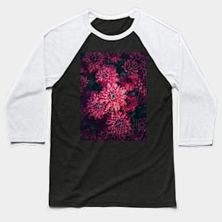 Top view cardinal chrysanthemums texture Baseball T-Shirt